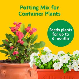 Miracle-Gro Potting Mix (2-Pack, 32 qt. Total) - Premium Soil for Indoor & Outdoor Container Plants, Flowers, Vegetables & Herbs - Feeds Up to 6 Months