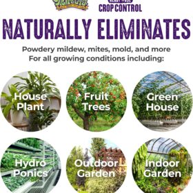 Trifecta Crop Control Ready-to-Use - Natural Pesticide, Fungicide & Miticide for Plants, 32 OZ