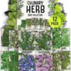 Seed Needs Ultimate Culinary Herb Garden Kit – 12 Variety Non-GMO Heirloom Seed Packets for Indoor, Outdoor, and Hydroponic Gardening
