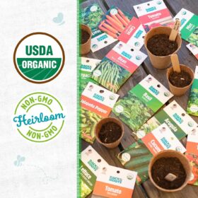 Back to the Roots Organic Heirloom Seed Packets – 30 Count Assorted Vegetable, Fruit & Herb Garden Starter Bundle – Non-GMO, USA Grown & Guaranteed to Grow