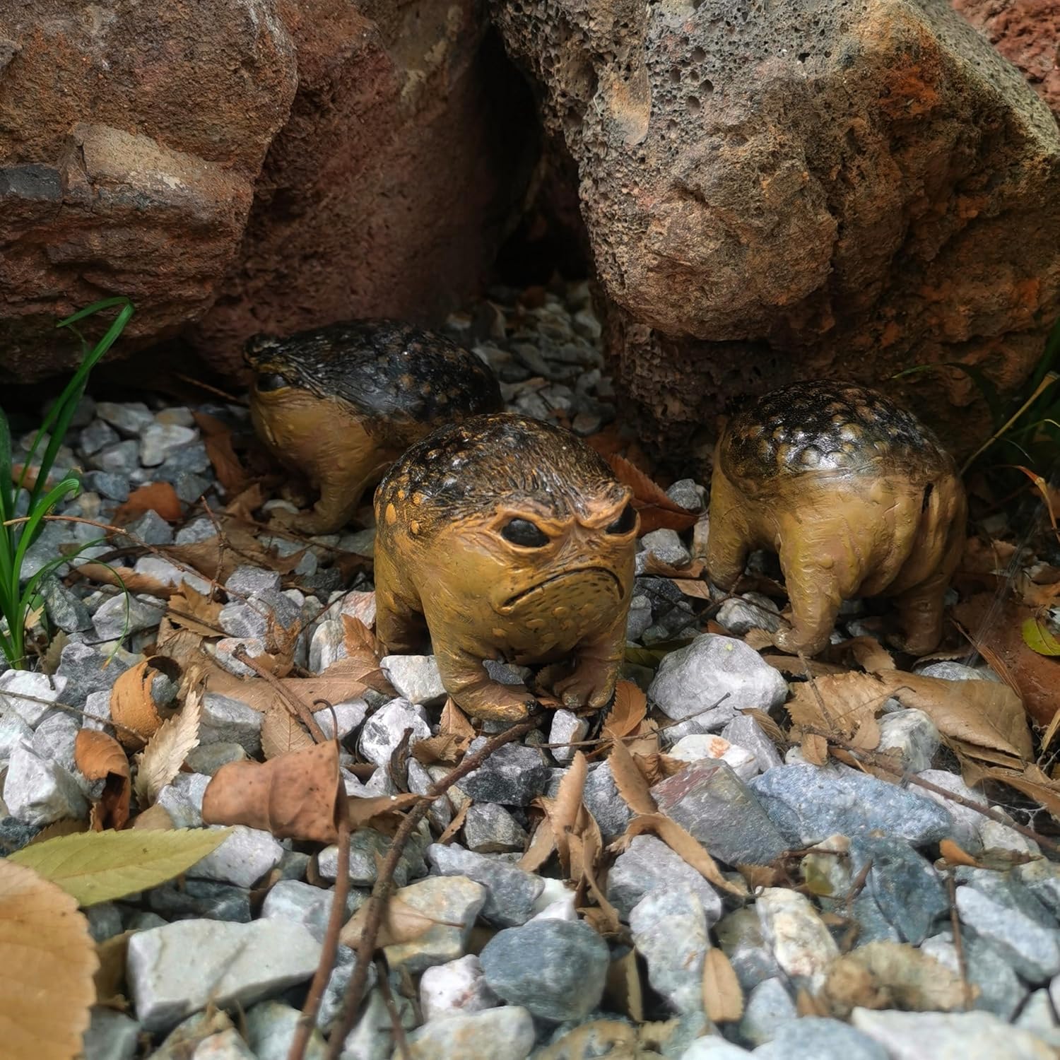 Grumpy Toad Garden Statue - Hand-Painted Resin 'Angry Avocado' Sculpture for Indoor & Outdoor Decor