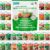 Back to the Roots Organic Heirloom Seed Packets – 30 Count Assorted Vegetable, Fruit & Herb Garden Starter Bundle – Non-GMO, USA Grown & Guaranteed to Grow