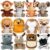 Arrozon 12 Pcs Mini Jungle Stuffed Animals Bulk - 4.5 Inch Safari Plush Keychains for Kids, Valentines Classroom Gifts, Carnival Prizes & Party Favors
