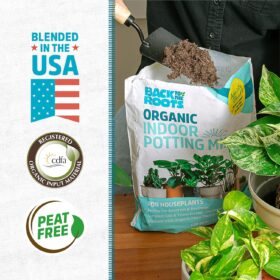 Back to The Roots Organic Indoor Potting Mix – 6 Quart All-Natural Houseplant Soil with Yucca Extract for Superior Water Retention & Growth