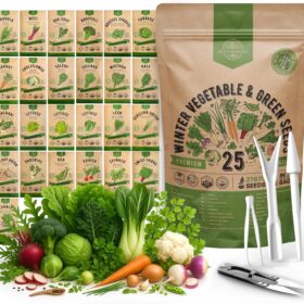 Organo Republic Winter Vegetable Garden Seeds Kit - 25 Variety Pack, 27,000+ Non-GMO Heirloom Seeds for Indoor & Outdoor Planting Includes Broccoli, Carrot, Kale, Radish & Bonus Gardening Tools