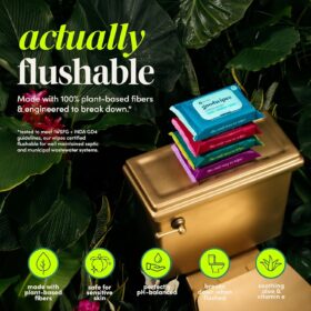 Goodwipes Flushable Butt Wipes - Extra Large, Septic-Safe Adult Wet Wipes with Vitamin E & Aloe - Rosewater Scent (318 Count)