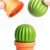 QUALY Cactus Salt and Pepper Shaker Set – Magnetic 2-in-1 Novelty Dispenser & Tequila Companion