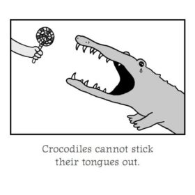 The Totally Awesome Book of Useless Information: The Ultimate Fun Facts Encyclopedia for Curious Kids