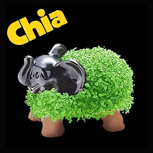Chia Pet Elephant with Seed Pack - Handmade Pottery Planter, Easy to Grow DIY Kit, Novelty Home Decor & Gift