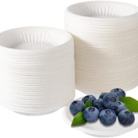 Eco-Friendly 4 Inch Mini Disposable Plates – 100 Count Small Round Paper Plates for Parties, Desserts, Appetizers & Pet Feeding – Biodegradable & Sturdy