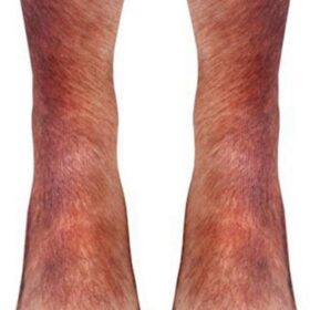 Animal Paw Socks – Hilarious Gag Gifts & White Elephant Exchange Ideas for Kids & Adults