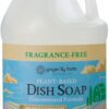 Ginger Lily Farms Botanicals 1 Gallon Refill Dish Soap – Eco-Friendly, Fragrance-Free, Max Grease Cutting Formula, Vegan & Cruelty-Free