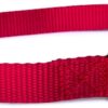 Heavy Duty Replacement Nylon Strap for Electric Dog Fences - Red
