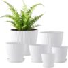 Set of 6 Indoor Plant Pots with Saucers – Multi-Sized White Plastic Planter Set with Drainage Holes for Indoor, Outdoor, and Window Sill Gardening