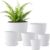 Set of 6 Indoor Plant Pots with Saucers – Multi-Sized White Plastic Planter Set with Drainage Holes for Indoor, Outdoor, and Window Sill Gardening