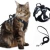 Escape-Proof Cat Harness and Leash Set with AirTag Pocket - Reflective, Adjustable Soft Mesh Vest for Large Cats and Small Dogs - 59' Lead Included (Black, Large)