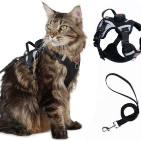 Escape-Proof Cat Harness and Leash Set with AirTag Pocket - Reflective, Adjustable Soft Mesh Vest for Large Cats and Small Dogs - 59' Lead Included (Black, Large)
