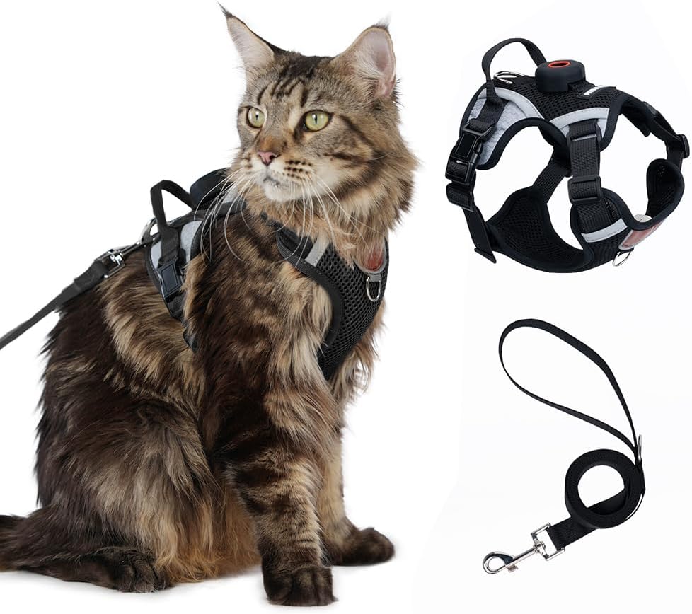 Escape-Proof Cat Harness and Leash Set with AirTag Pocket - Reflective, Adjustable Soft Mesh Vest for Large Cats and Small Dogs - 59' Lead Included (Black, Large)