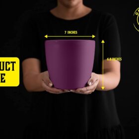 GARDENIX DECOR Self Watering Plant Pots for Indoor Plants – 3 Pack Hydroponic Flower Planters with Water Level Indicator & Growth Tracking Dial – Includes Coco Coir Soil Pellets (Purple)