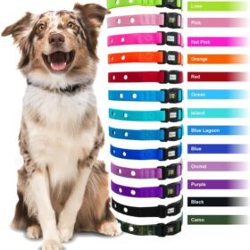 Heavy Duty Replacement Nylon Strap for Electric Dog Fences - Red