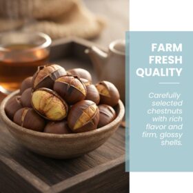 Fresh Italian Chestnuts (1 lb) | Premium Roasting Nuts | Sweet & Nutty Gluten-Free Snack
