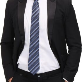 Adulove Men's 6-Pack Classic Silk Jacquard Neckties – Premium Woven Formal & Casual Wedding Ties for Gentleman