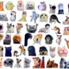 50Pcs Funny Meme Animal Stickers Pack – Waterproof Vinyl Decals for Laptops, Water Bottles & Gear – Hilarious Cat & Dog Gag Gift for Teens & Adults