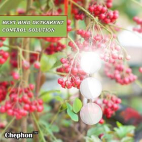 Dual-Sided Bird Scare Discs – 24 Pack Large Reflective Garden Deterrents for Woodpeckers, Pigeons & Pest Control