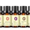 Luxury Hotel Fragrance Oil Gift Set – 5-Star Scented Oils for Diffusers (Westin White Tea, My Way & Baccarat) – IFRA Compliant & Pet Friendly – 10ml Amber Bottles