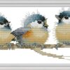 Awesocrafts Three Birds Cross Stitch Kit – DIY Embroidery Set with Pre-Printed Pattern, Thread, Needles & Instructions – Relaxing Home Decor Craft & Gift Idea