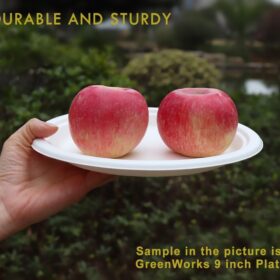 GreenWorks 100-Count 6-Inch Compostable Bagasse Plates - Heavy-Duty, Eco-Friendly Disposable Dinnerware for Parties and Camping