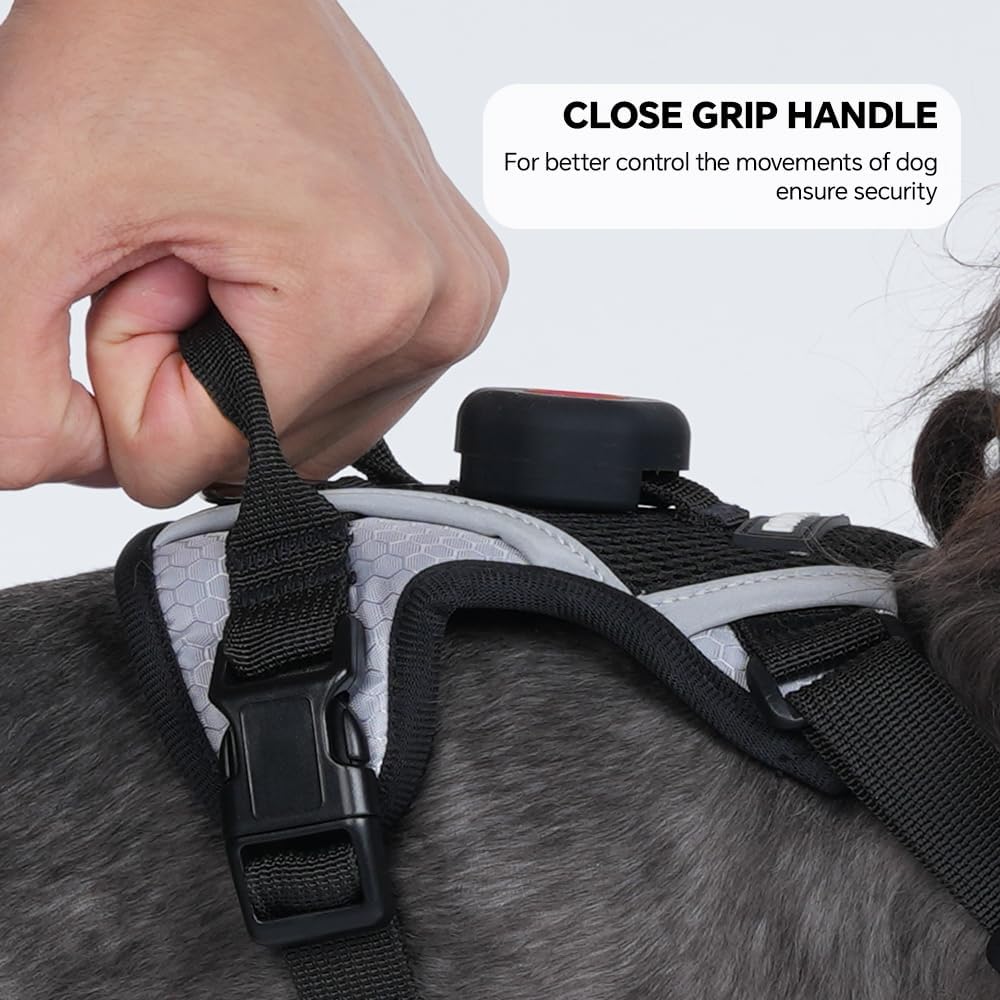 Escape-Proof Cat Harness and Leash Set with AirTag Pocket - Reflective, Adjustable Soft Mesh Vest for Large Cats and Small Dogs - 59' Lead Included (Black, Large)