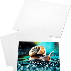 Premium Glossy Photo Paper - 8x10 Inch 180gsm Inkjet Sheets (20 Pack) - High Resolution, Quick Dry for Prints, Flyers & Brochures