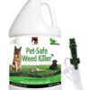 Natural Pet-Safe Weed Killer Spray - 1 Gallon (128 oz) - Ready to Use Glyphosate-Free Lawn & Garden Treatment
