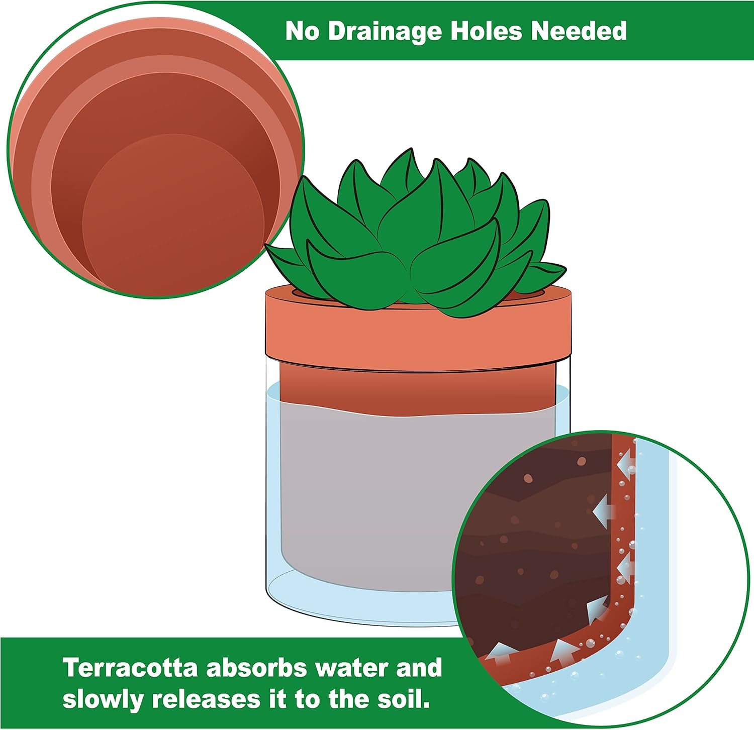 Phoenix Vine 4-Inch Self-Watering Planter – Terracotta Clay Pot with Glass Reservoir for Indoor Plants, Herbs, and Succulents