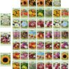 Bulk 50-Packet Wildflower Seed Collection – Over 10 Varieties for Pollinators & Butterflies