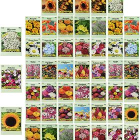 Bulk 50-Packet Wildflower Seed Collection – Over 10 Varieties for Pollinators & Butterflies