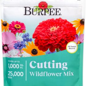 Burpee Wildflower Seed Cutting Mix – 25,000+ Non-GMO Flower Seeds for Bouquets, Covers 1,000 Sq. Ft.