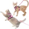 Luxelle 2-Pack Escape-Proof Cat Harness and Leash Set – Adjustable, No-Pull Soft Mesh Vest with Safety Reflective Strips for Indoor & Outdoor Adventures