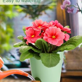 Self-Watering Plant Pots for Indoor Plants – 5 Inch Set of 3 with Bottom Watering Design, Ideal for African Violets, Herbs, Succulents, and Snake Plants (Green & Light Brown)