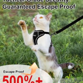 Escape-Proof Cat Harness and Leash – Adjustable, Soft Mesh Walking Vest with Reflective Strips for Kittens & Cats – Black, Size Small
