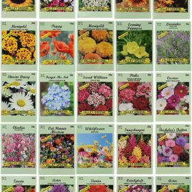 25-Count Bulk Flower Seed Packets Collection – 10+ Premium Varieties, Non-GMO Wildflower & Annual Mix – Perfect for Large Gardens, DIY Landscaping & Gifts