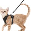 rabbitgoo Cat Harness and Leash for Walking - Escape Proof Adjustable Vest Jacket with Reflective Strips, Soft Mesh & Easy Control, Black (Small)
