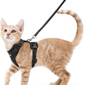 rabbitgoo Cat Harness and Leash for Walking - Escape Proof Adjustable Vest Jacket with Reflective Strips, Soft Mesh & Easy Control, Black (Small)