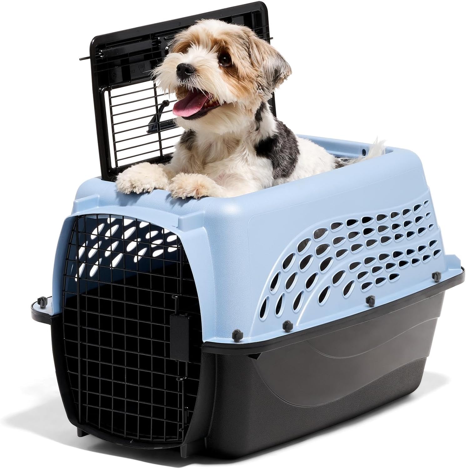 Petmate Two-Door Pet Kennel & Travel Carrier for Small Dogs & Cats - Airline Approved, Top & Front Loading, Made in USA, 24-Inch, Blue