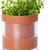 Phoenix Vine 4-Inch Self-Watering Planter – Terracotta Clay Pot with Glass Reservoir for Indoor Plants, Herbs, and Succulents
