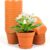 16 Pack 4 Inch Plastic Nursery Pots with Saucers - Indoor & Outdoor Planters for Succulents, Seedlings, Herbs, and Flowers - Drainage Holes & Durable Terracotta Design