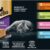 Sheba Perfect Portions Grain-Free Wet Cat Food Paté - Savory Chicken, Roasted Turkey, Salmon & Whitefish & Tuna Variety Pack (48 Twin-Pack Trays, 96 Total Servings)