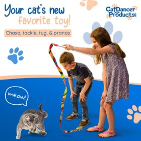 Cat Dancer Cat Charmer Interactive Wand Toy with Colorful Ribbon - Safe, Flexible & Durable Exercise for Cats & Kittens