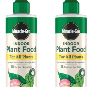 Miracle-Gro Indoor Plant Food Spikes 2-Pack (8 oz ea) | Instant All-Purpose Liquid Fertilizer for Houseplants, Herbs, Vegetables & Flowers